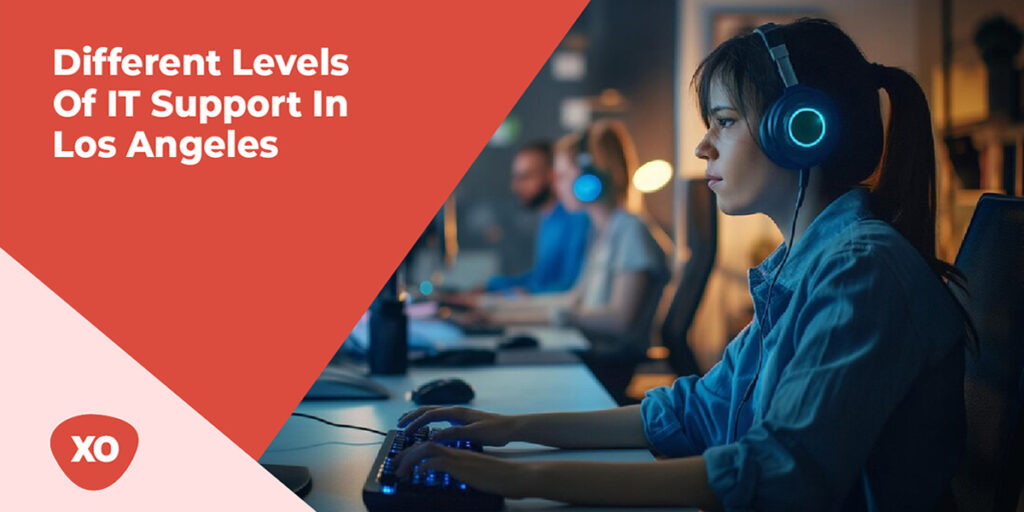 Different Levels of IT Support in Los Angeles